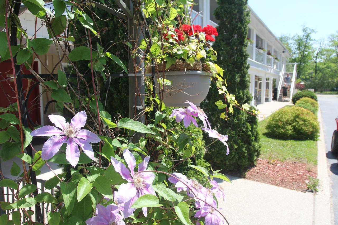 Saga Resort Wasaga Beach Zewnętrze zdjęcie